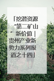 挖潜资源“第二矿山”新价值｜贵州产业新势力系列报道之十四